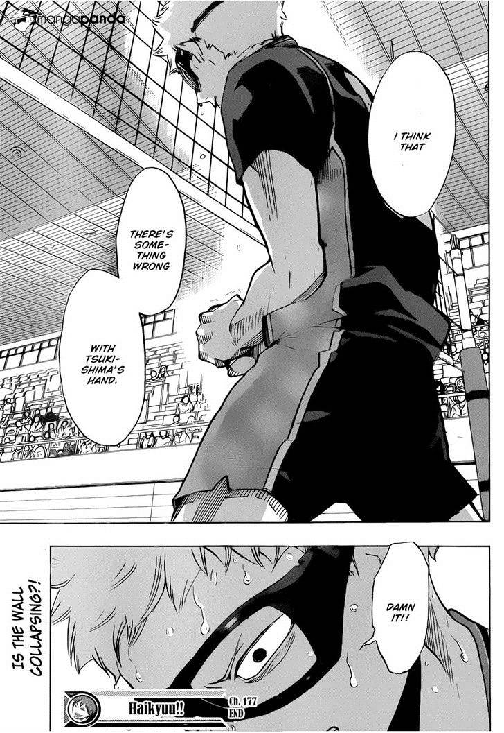 Read Haikyuu!! EN Manga Online
