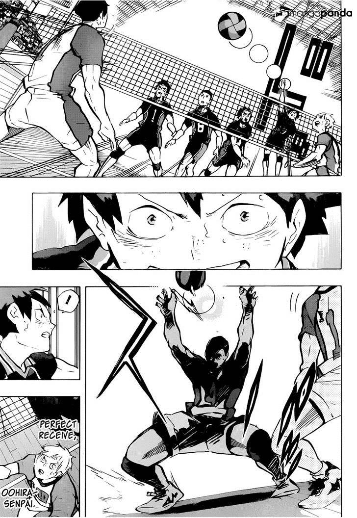 Read Haikyuu!! EN Manga Online