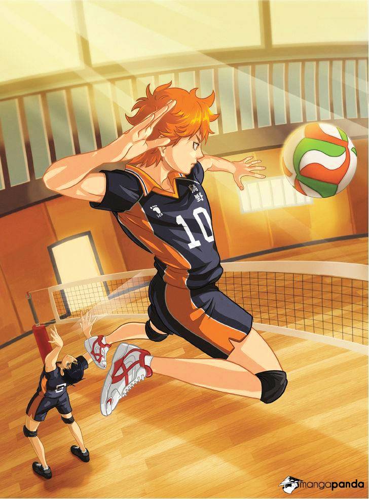 Read Haikyuu!! EN Manga Online