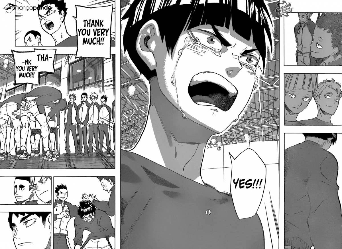Read Haikyuu!! EN Manga Online