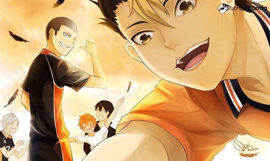 Read Haikyuu!! EN Manga Online