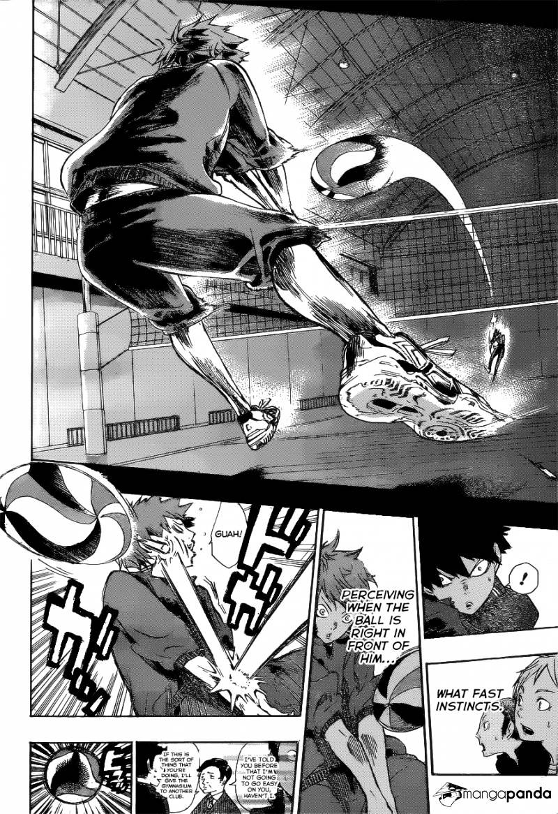 Read Haikyuu!! EN Manga Online
