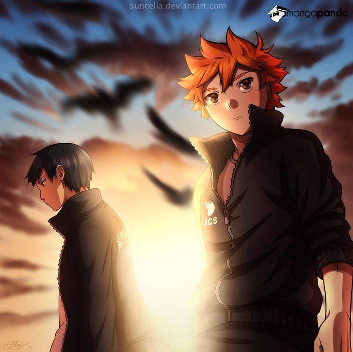 Read Haikyuu!! EN Manga Online