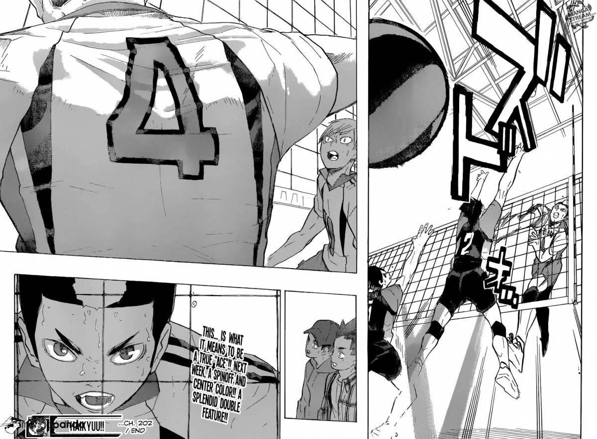 Read Haikyuu!! EN Manga Online