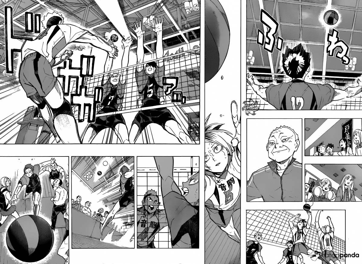 Read Haikyuu!! EN Manga Online