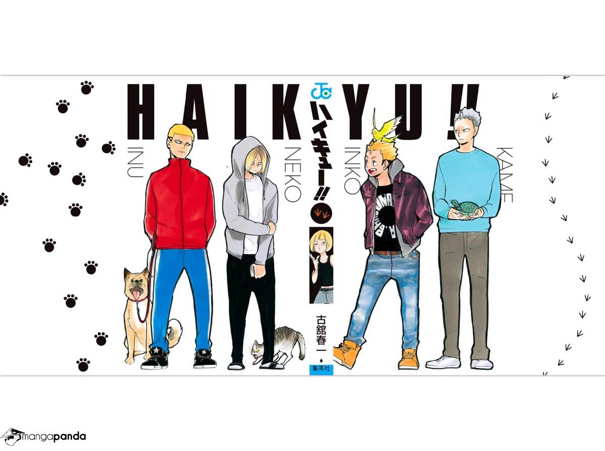 Read Haikyuu!! EN Manga Online