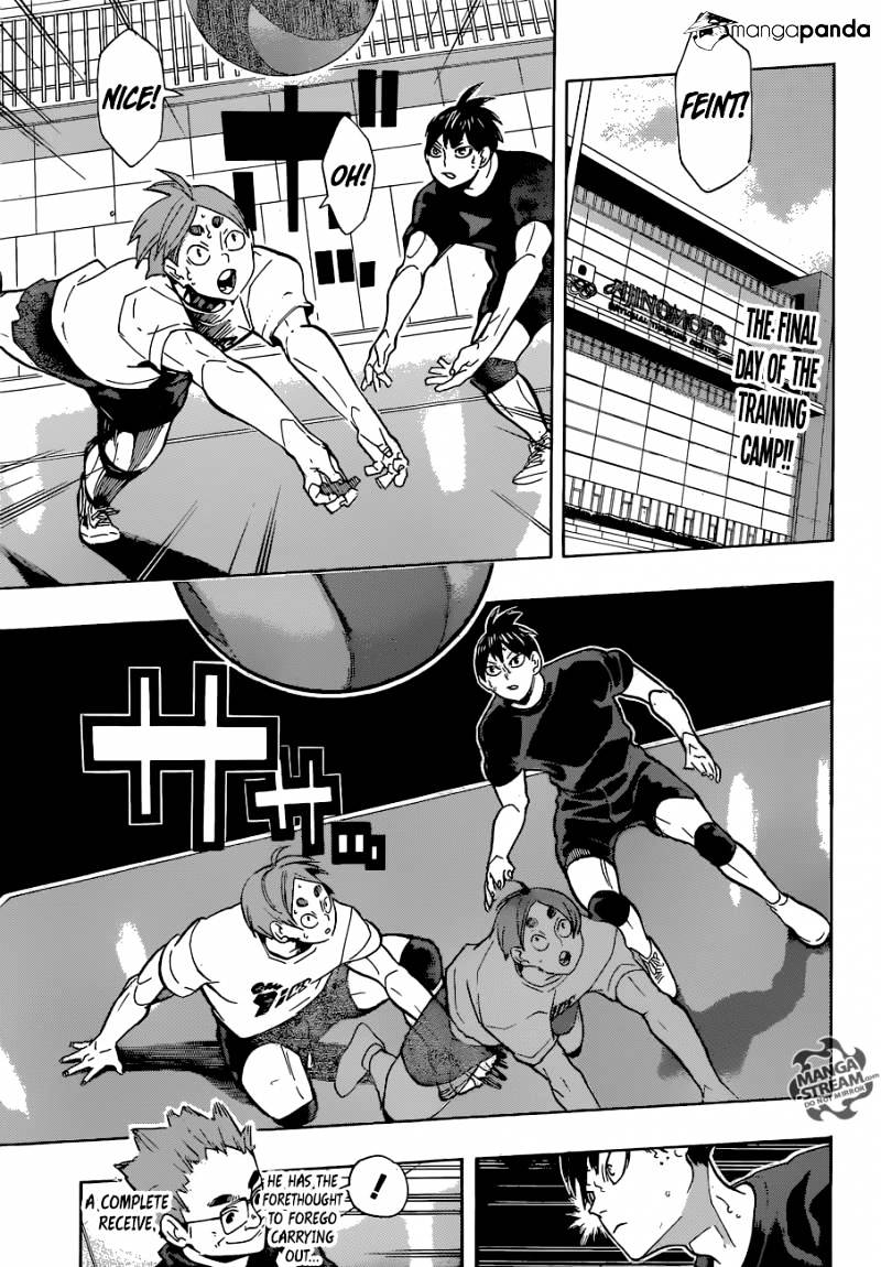 Read Haikyuu!! EN Manga Online