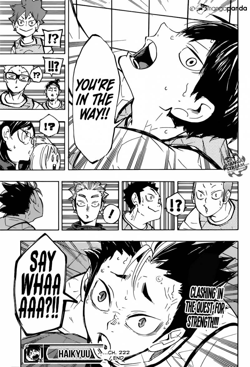Read Haikyuu!! EN Manga Online