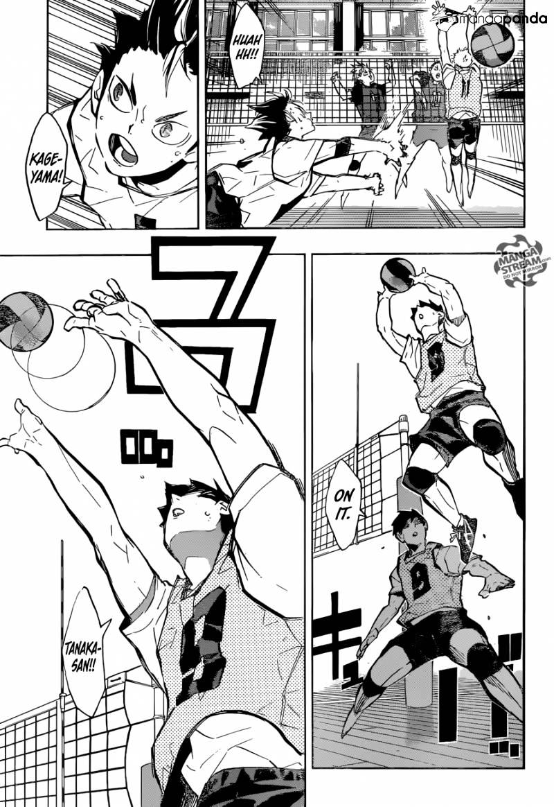 Read Haikyuu!! EN Manga Online