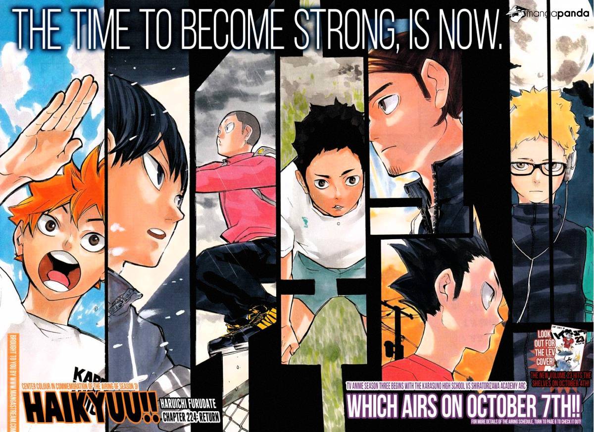 Read Haikyuu!! EN Manga Online