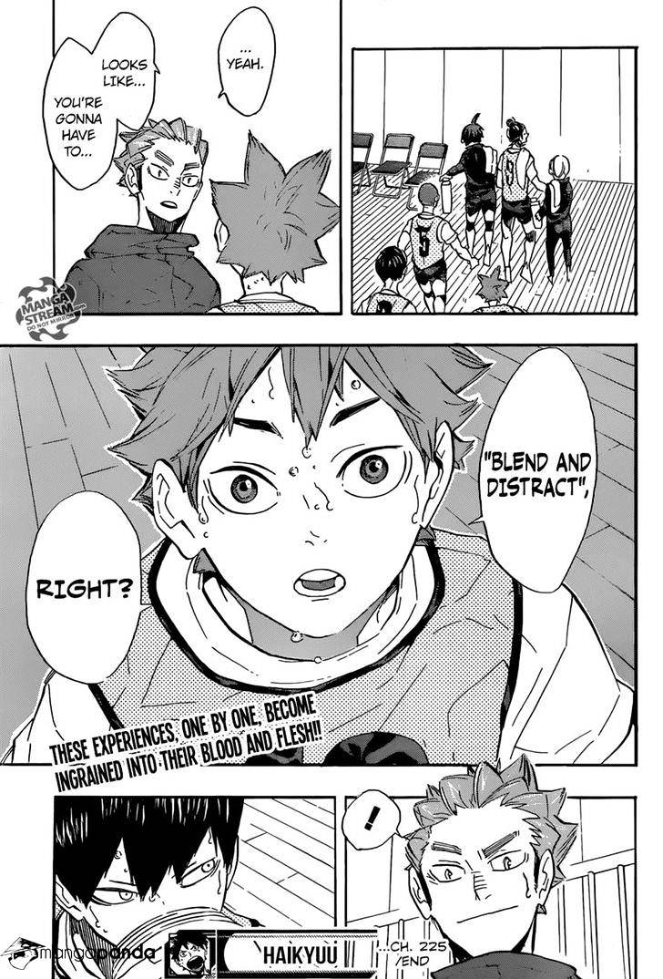 Read Haikyuu!! EN Manga Online