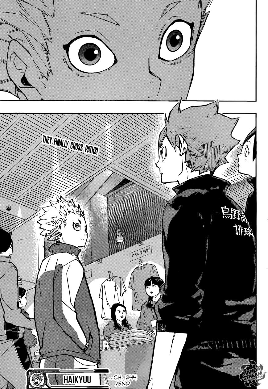 Read Haikyuu!! EN Manga Online