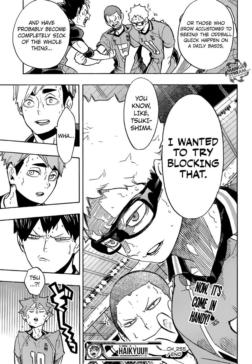 Read Haikyuu!! EN Manga Online