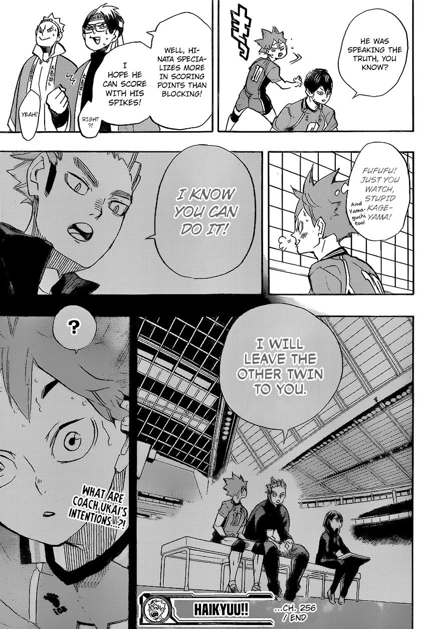 Read Haikyuu!! EN Manga Online