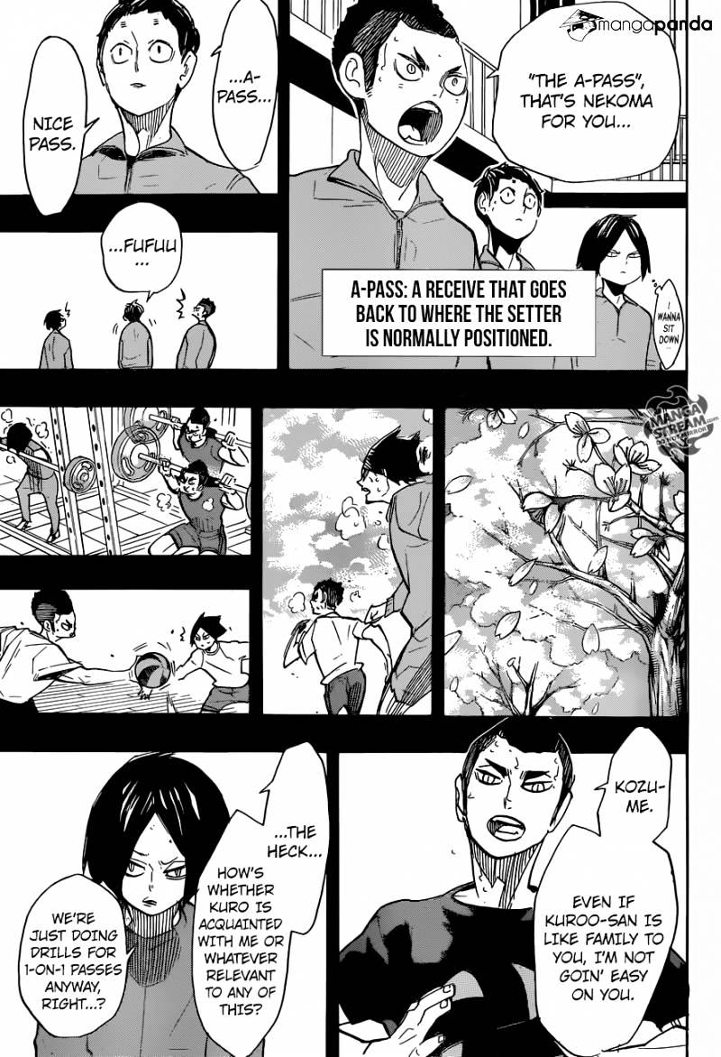 Read Haikyuu!! EN Manga Online