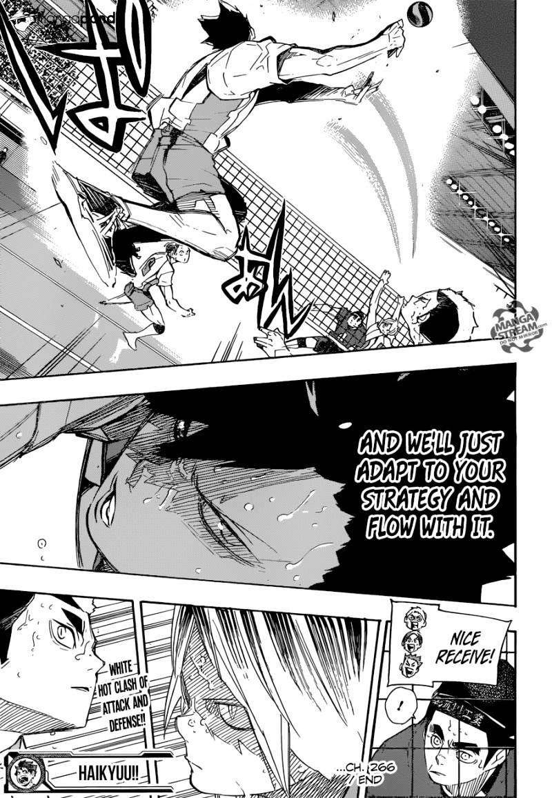 Read Haikyuu!! EN Manga Online