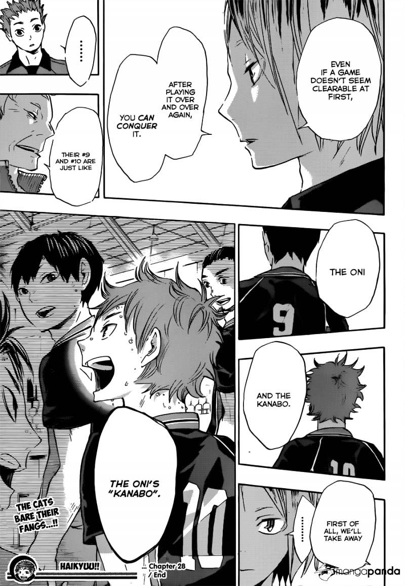 Read Haikyuu!! EN Manga Online