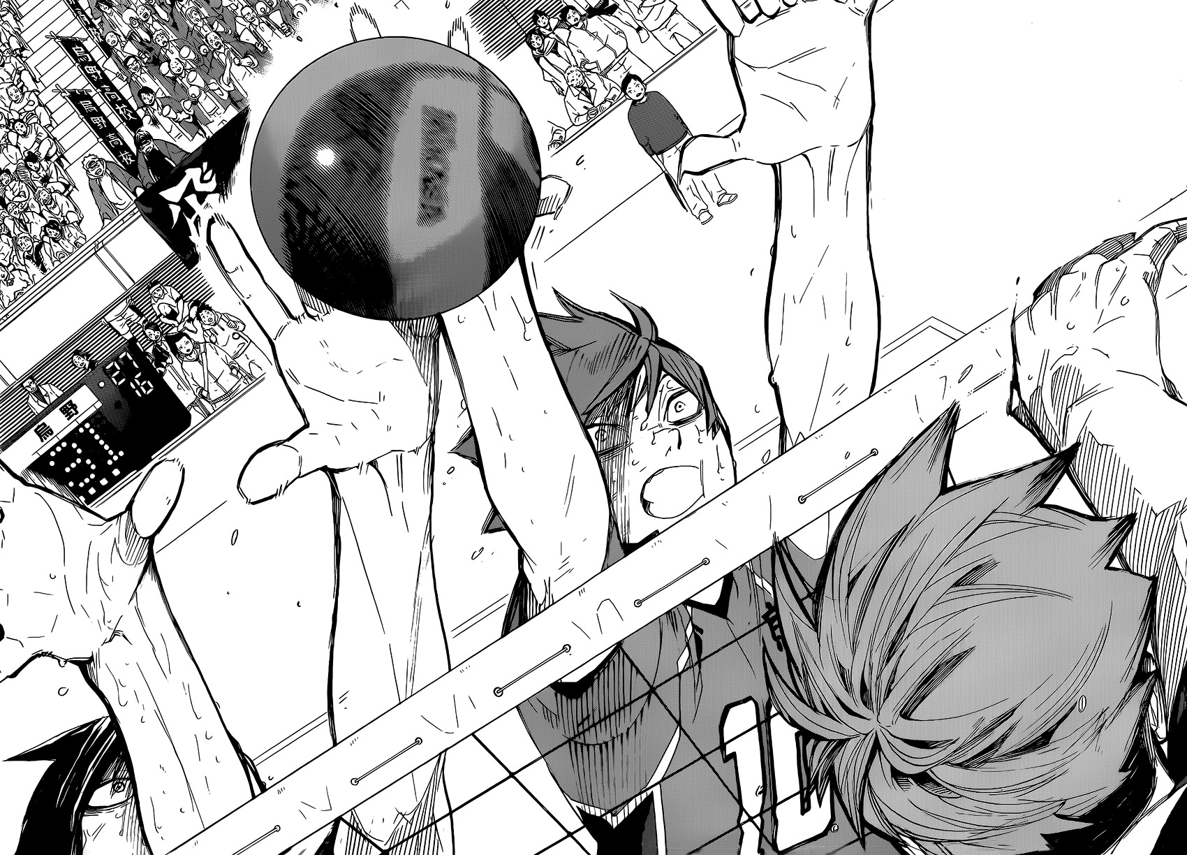 Read Haikyuu!! EN Manga Online