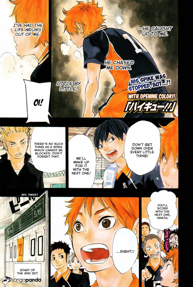 Read Haikyuu!! EN Manga Online