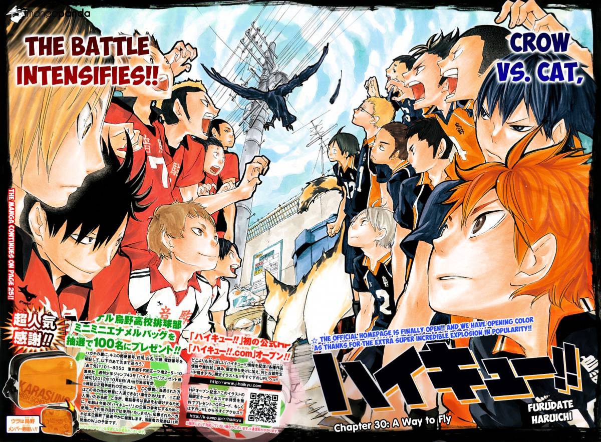 Read Haikyuu!! EN Manga Online