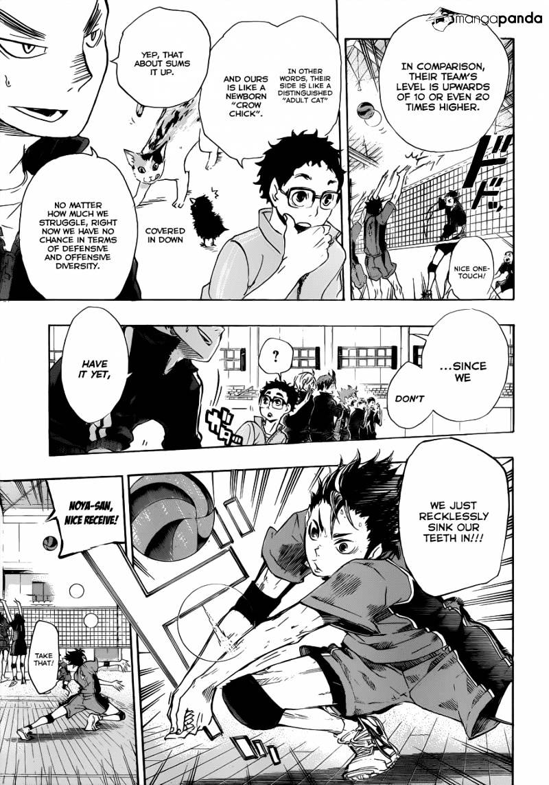 Read Haikyuu!! EN Manga Online