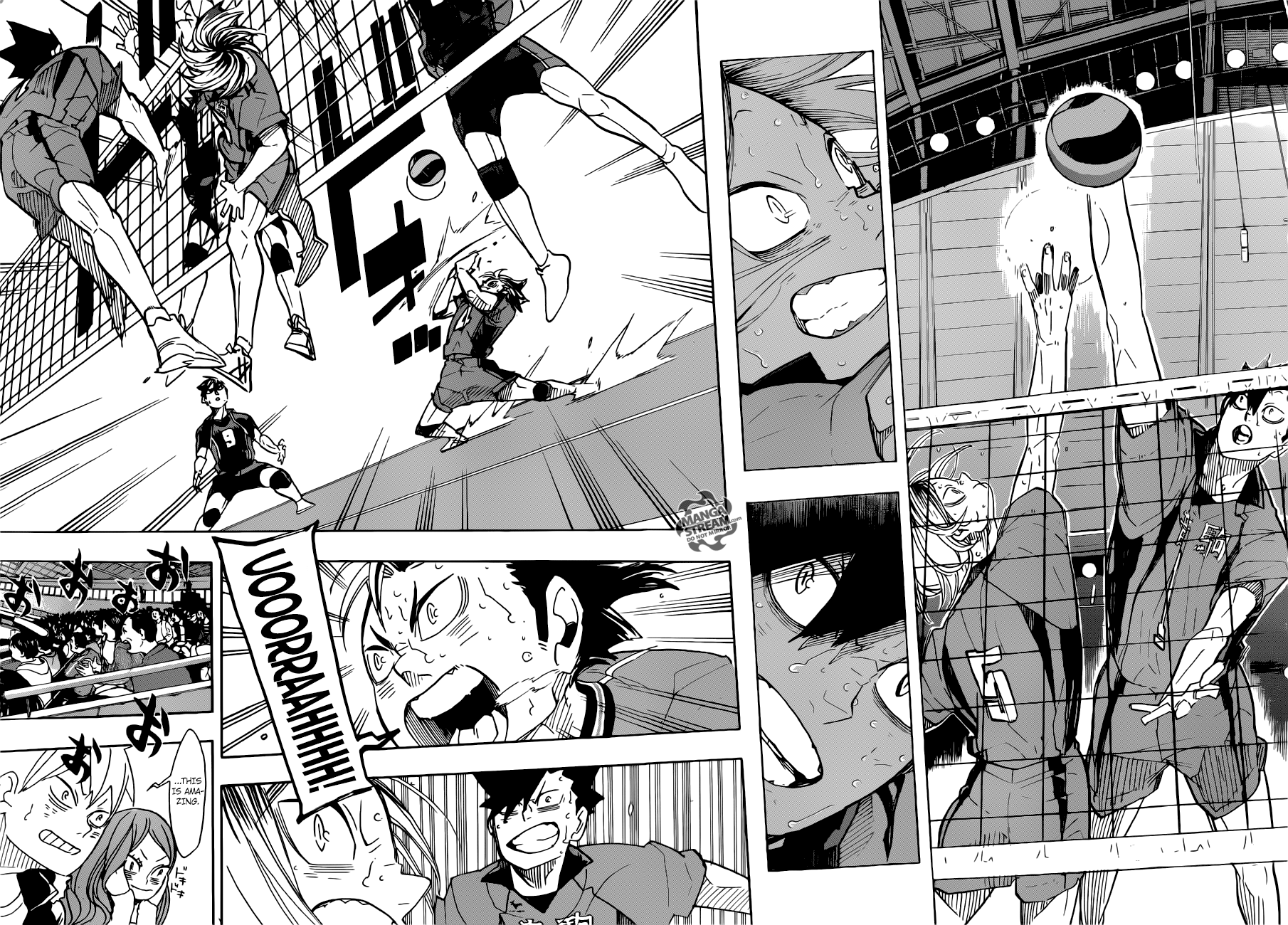 Read Haikyuu!! EN Manga Online