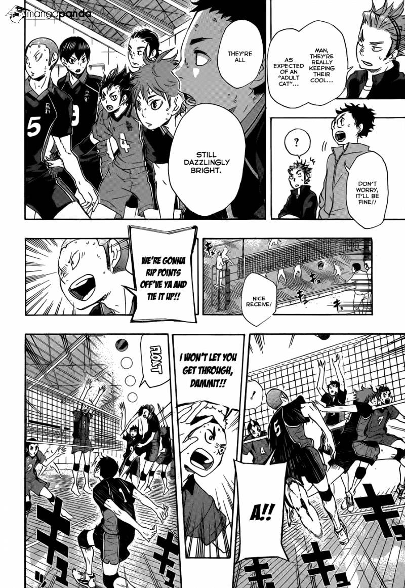 Read Haikyuu!! EN Manga Online