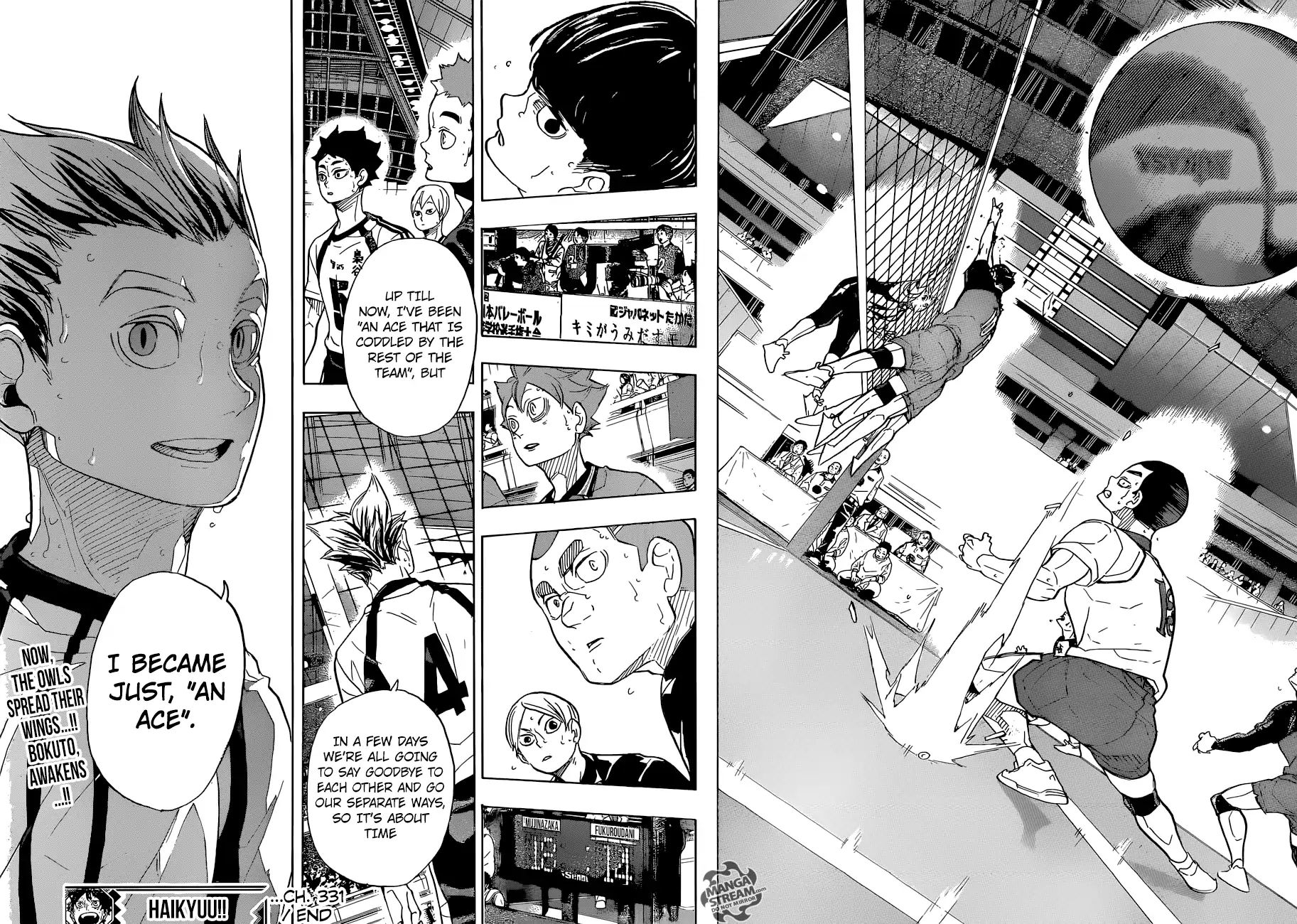 Read Haikyuu!! EN Manga Online
