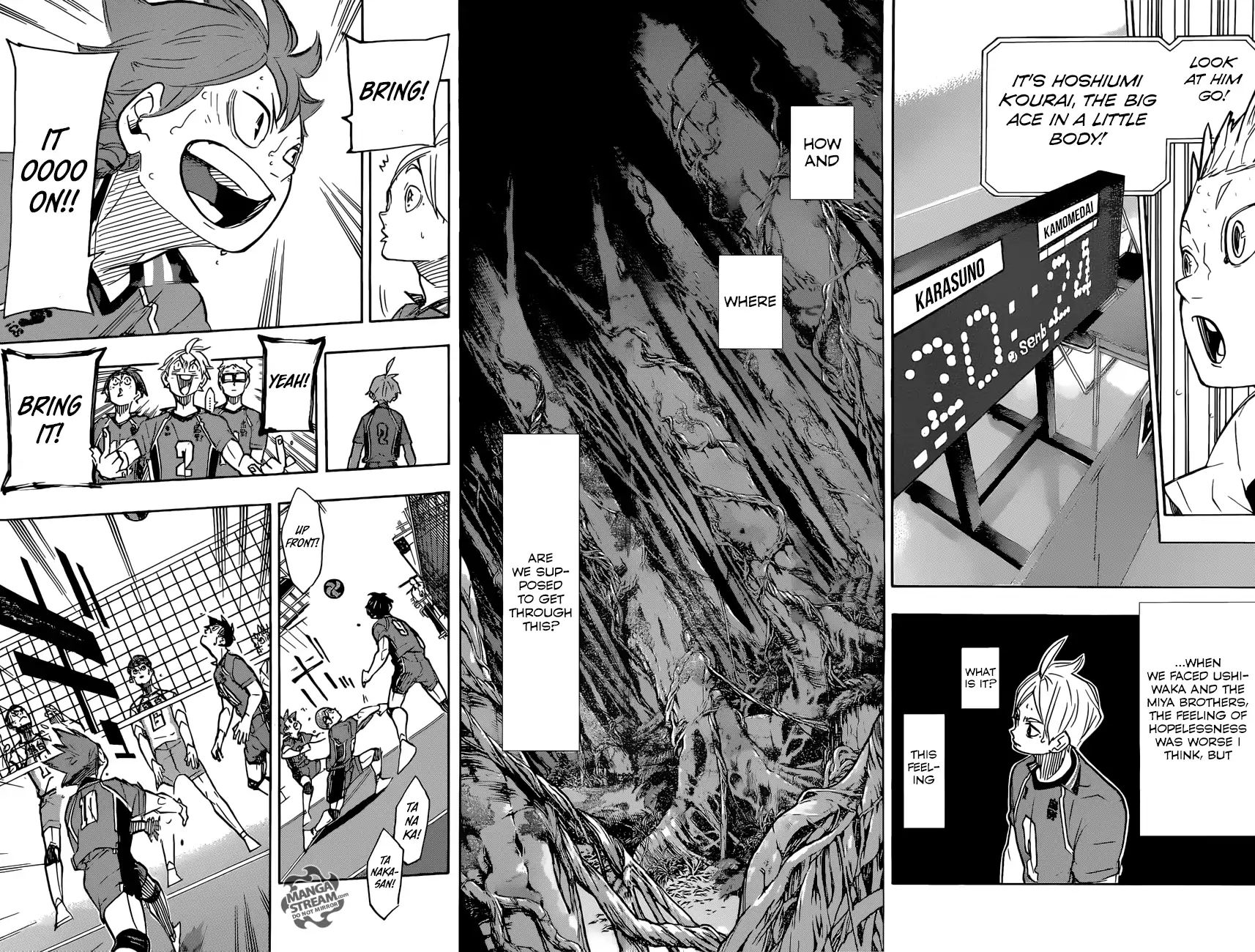 Read Haikyuu!! EN Manga Online