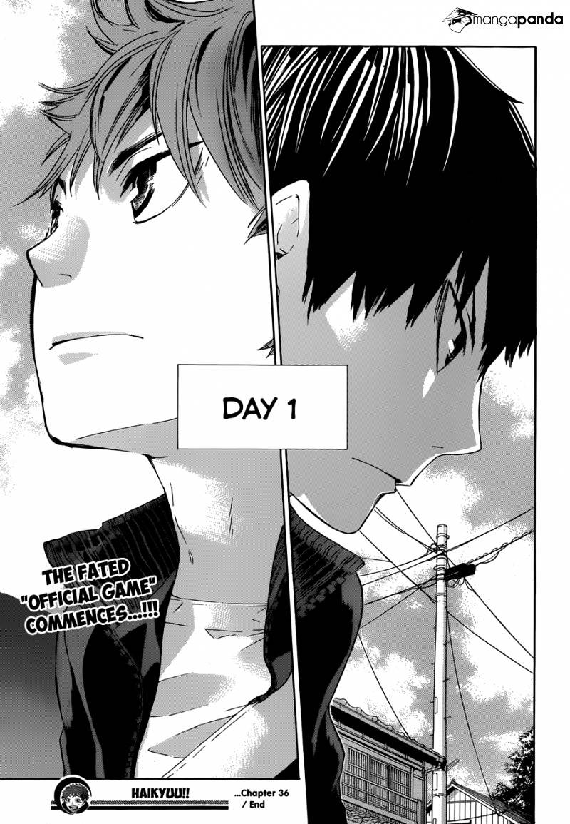 Read Haikyuu!! EN Manga Online