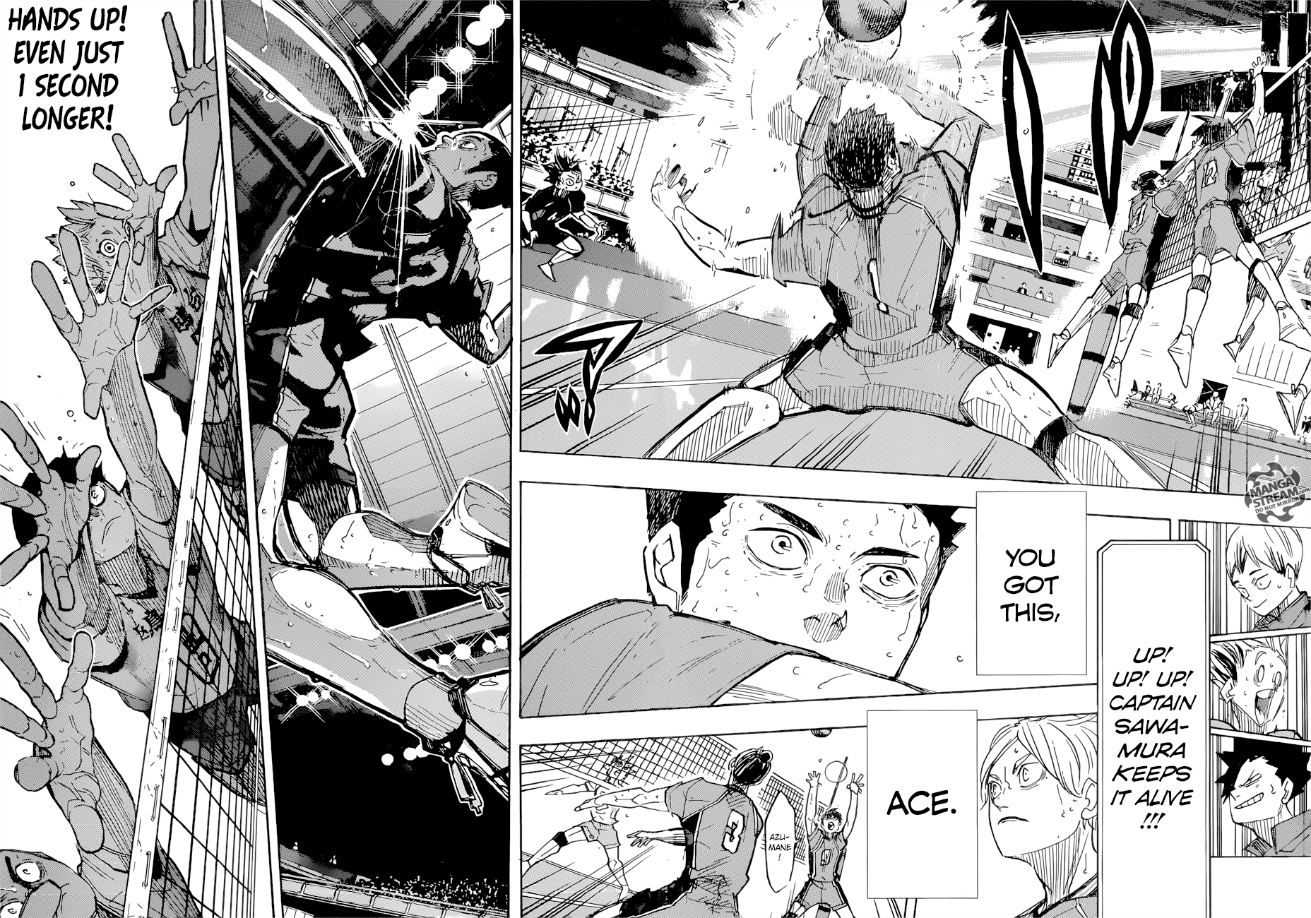 Read Haikyuu!! EN Manga Online