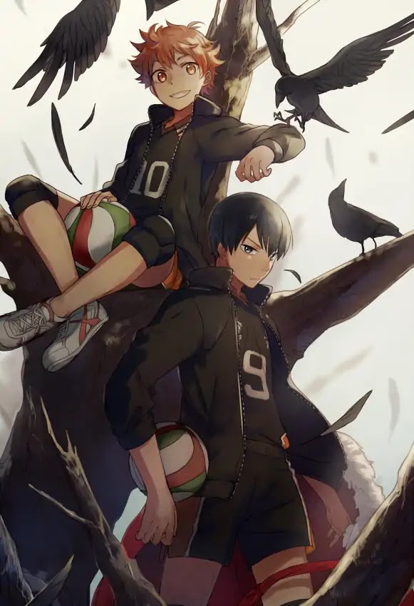 Read Haikyuu!! EN Manga Online