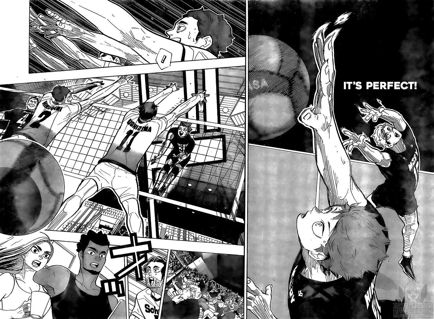Read Haikyuu!! EN Manga Online
