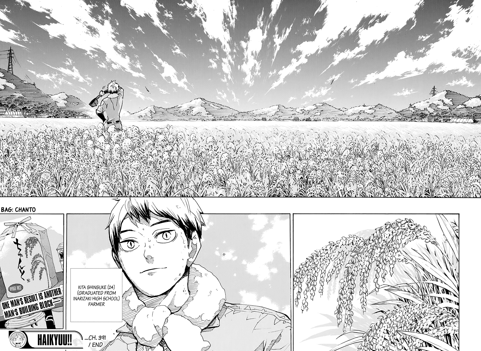 Read Haikyuu!! EN Manga Online