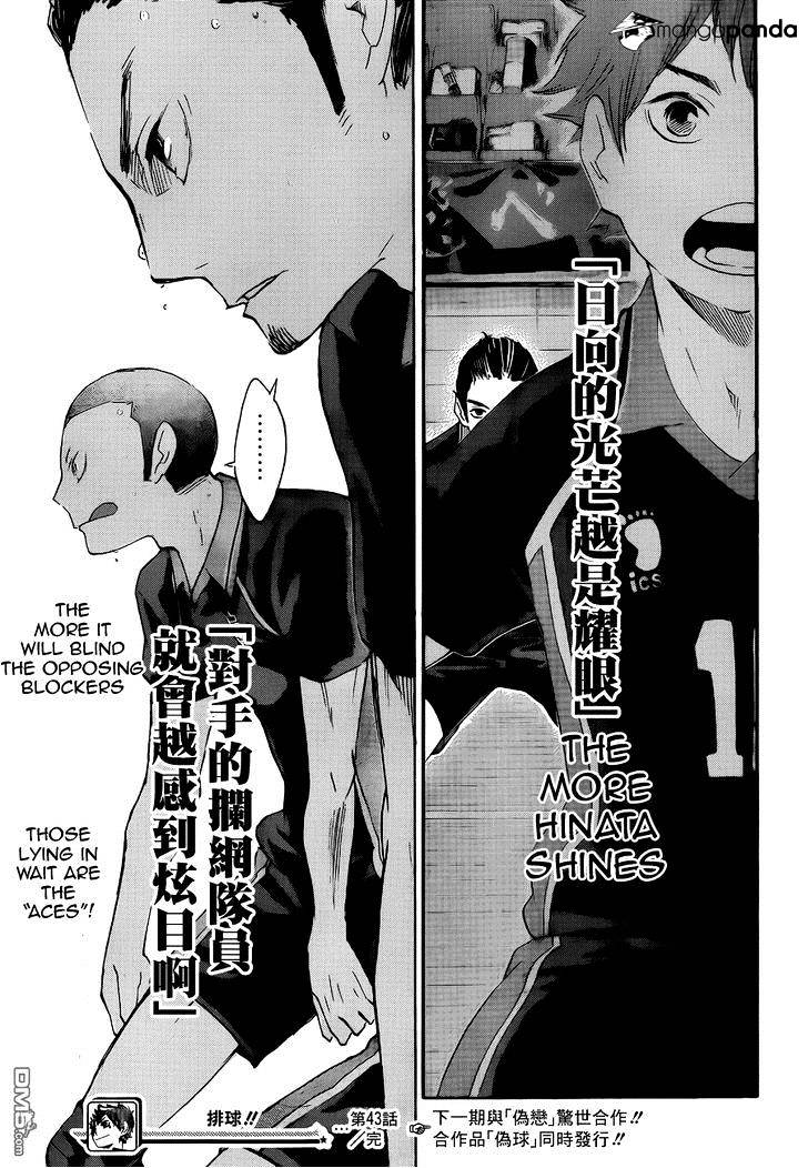 Read Haikyuu!! EN Manga Online