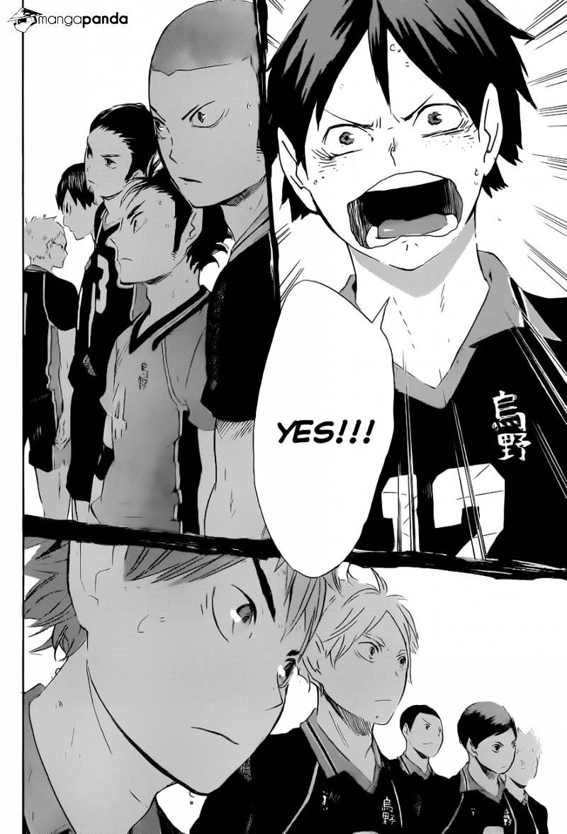 Read Haikyuu!! EN Manga Online