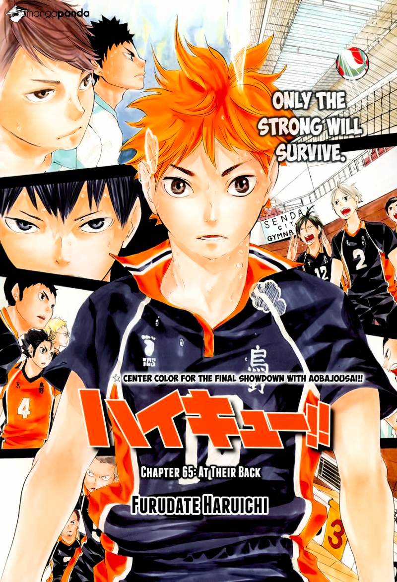 Read Haikyuu!! EN Manga Online