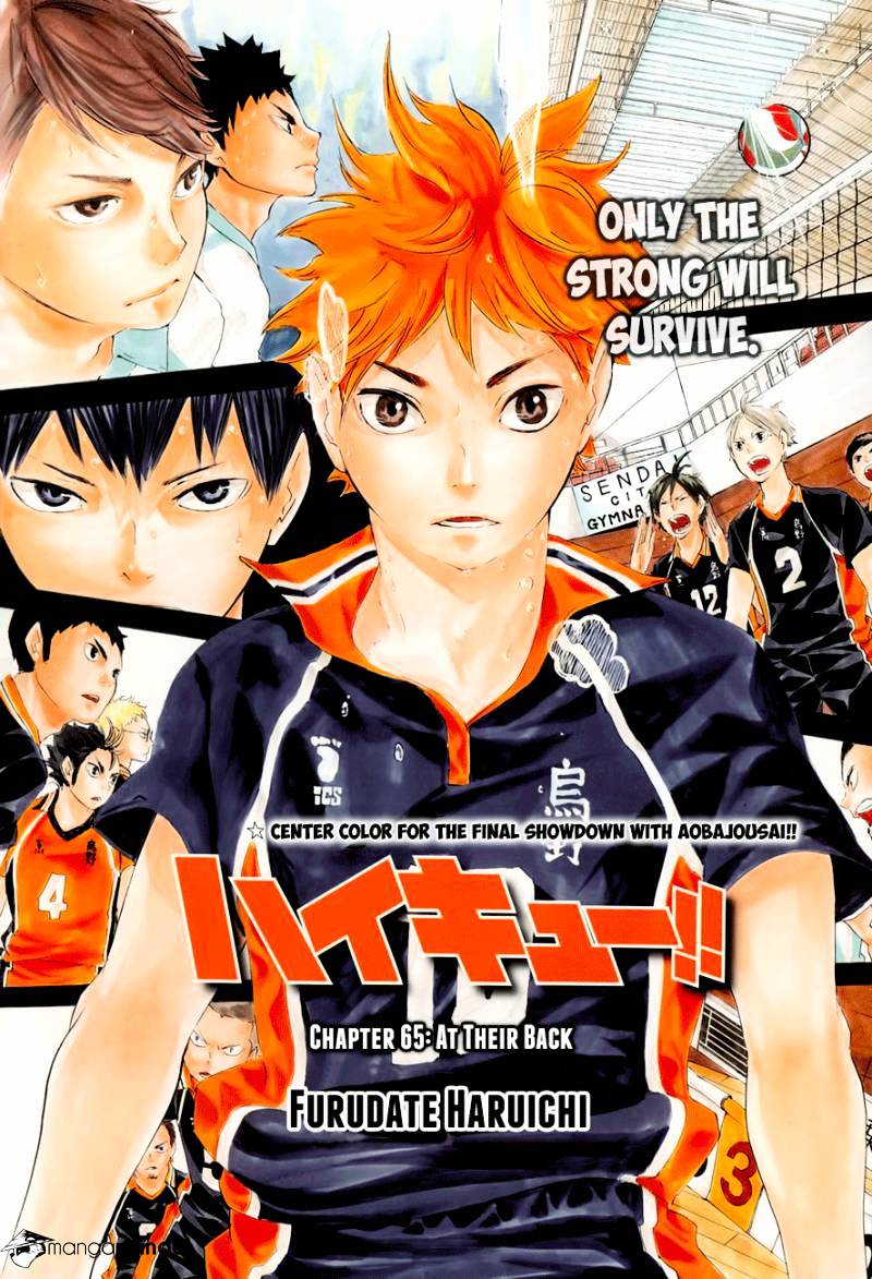 Read Haikyuu!! EN Manga Online