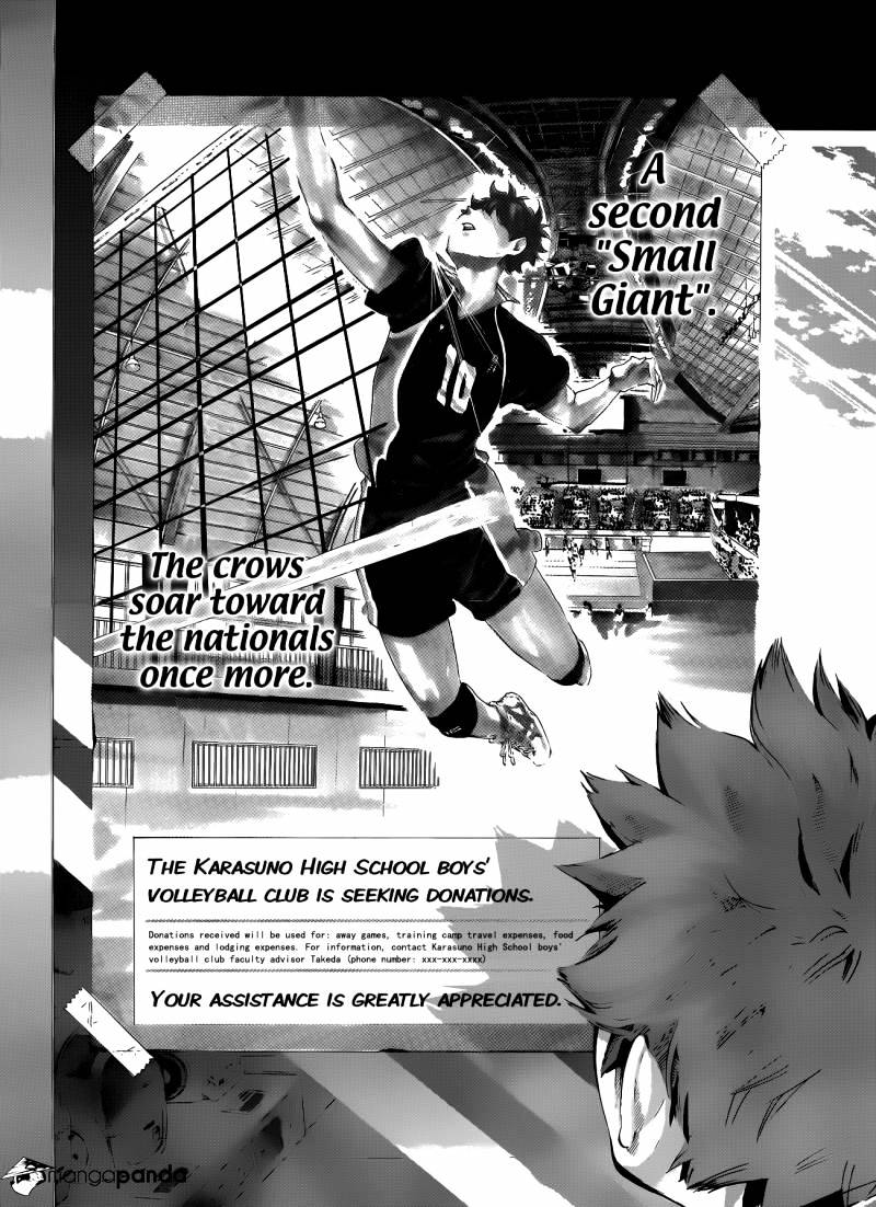 Read Haikyuu!! EN Manga Online