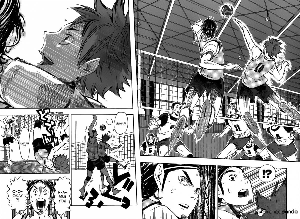 Read Haikyuu!! EN Manga Online