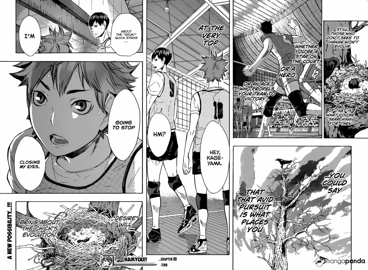 Read Haikyuu!! EN Manga Online