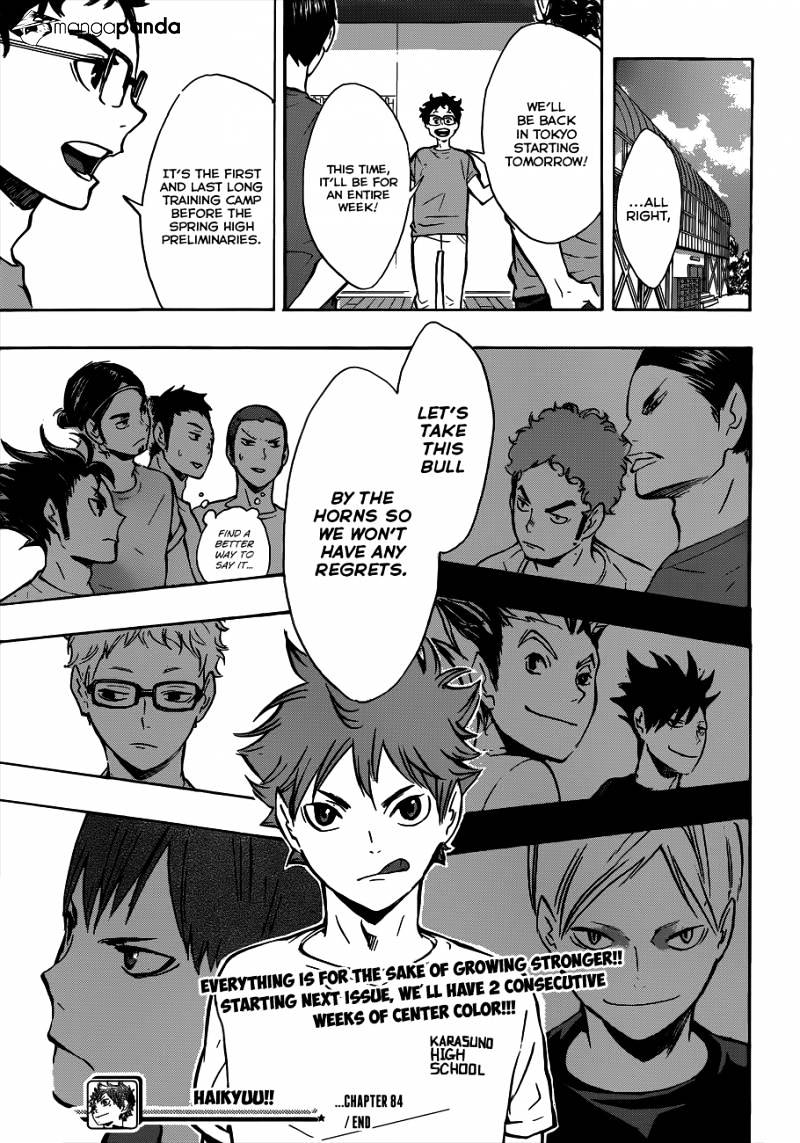 Read Haikyuu!! EN Manga Online