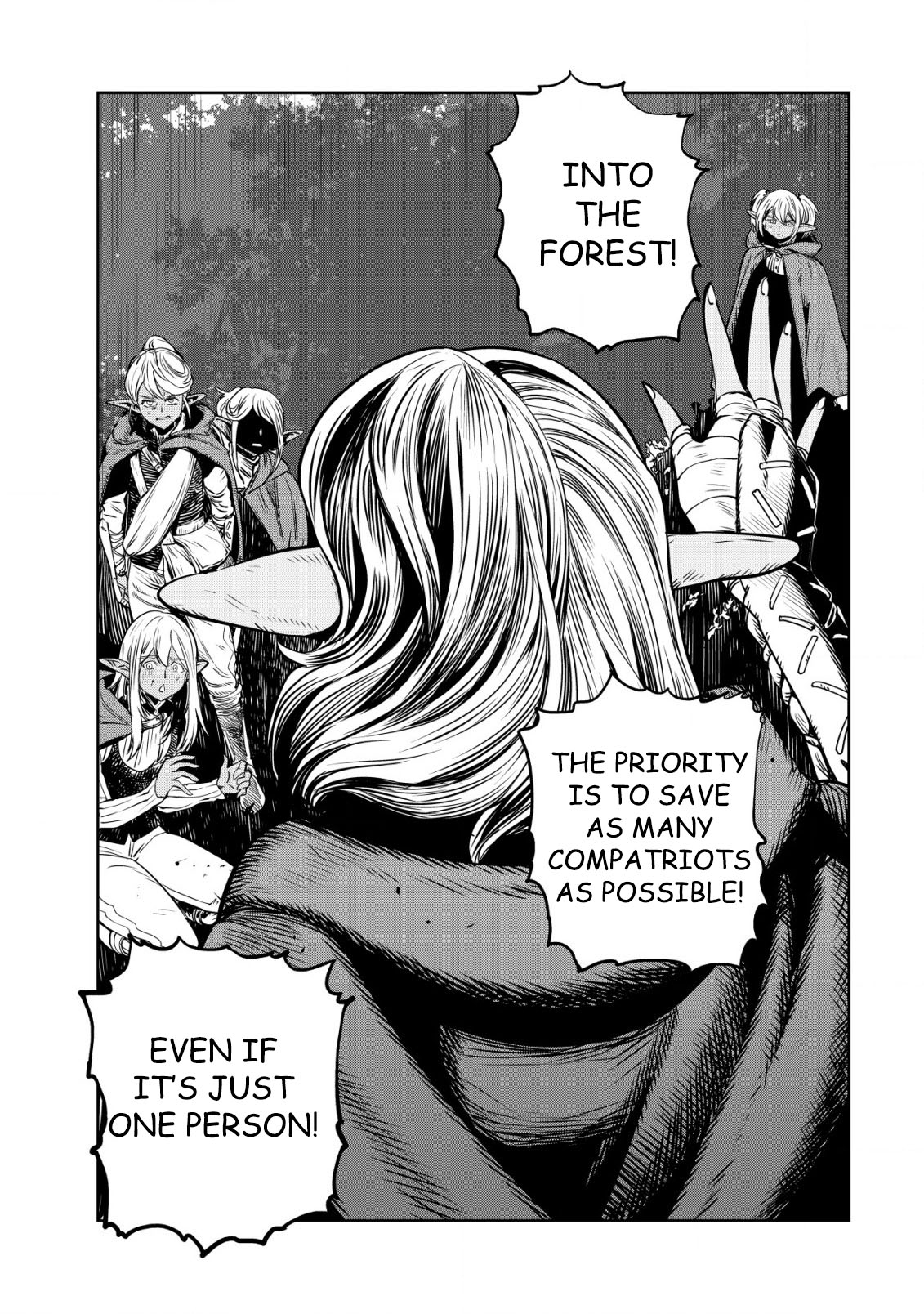 Read History of the Kingdom of the Orcsen։ How the Barbarian Orcish Nation Came to Burn Down the Peaceful Elfland EN Manga Online