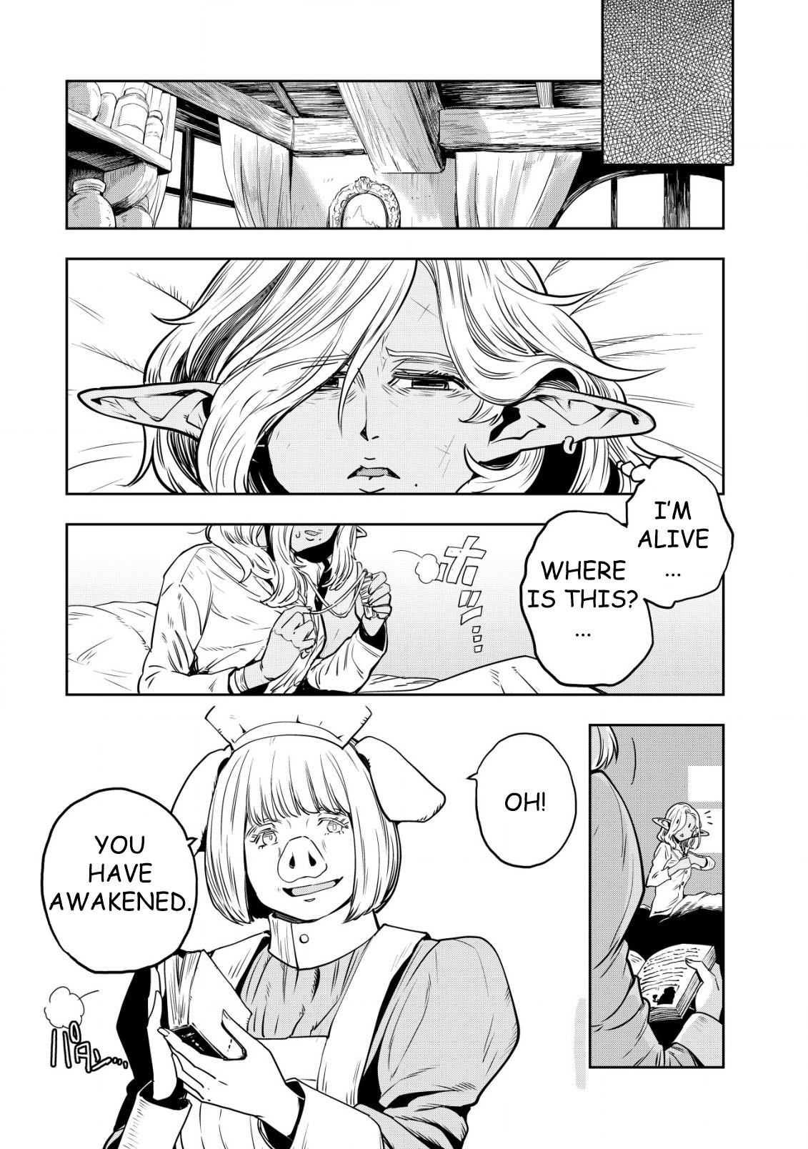 Read History of the Kingdom of the Orcsen։ How the Barbarian Orcish Nation Came to Burn Down the Peaceful Elfland EN Manga Online
