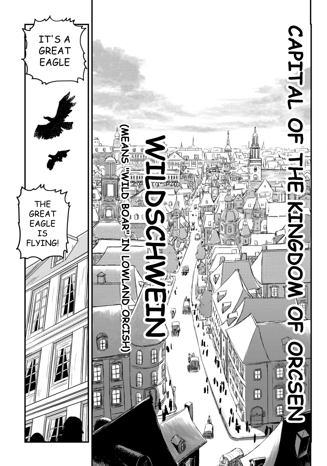 Read History of the Kingdom of the Orcsen։ How the Barbarian Orcish Nation Came to Burn Down the Peaceful Elfland EN Manga Online