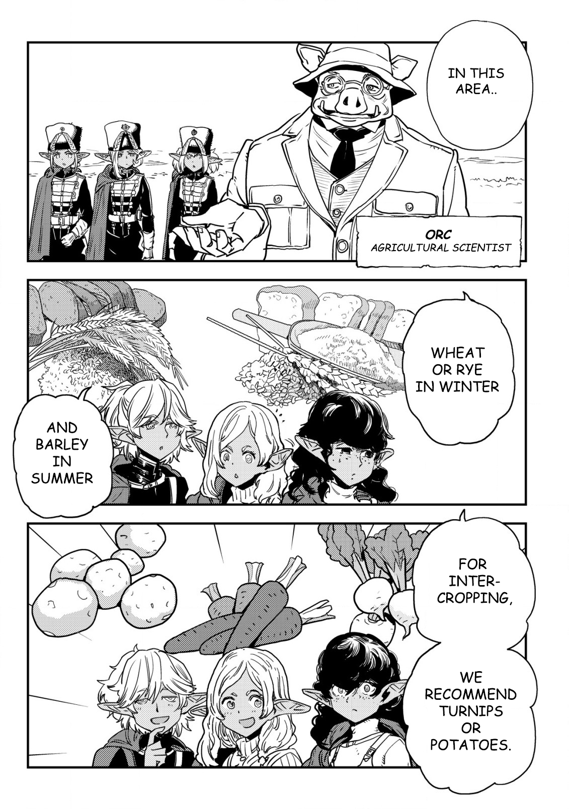 Read History of the Kingdom of the Orcsen։ How the Barbarian Orcish Nation Came to Burn Down the Peaceful Elfland EN Manga Online