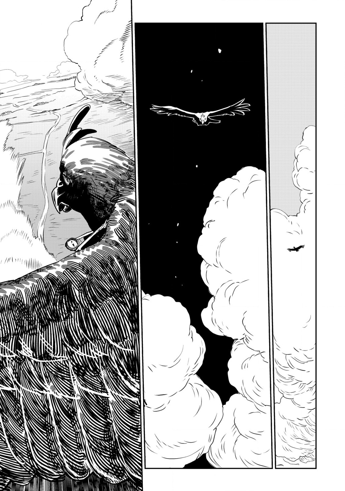 Read History of the Kingdom of the Orcsen։ How the Barbarian Orcish Nation Came to Burn Down the Peaceful Elfland EN Manga Online