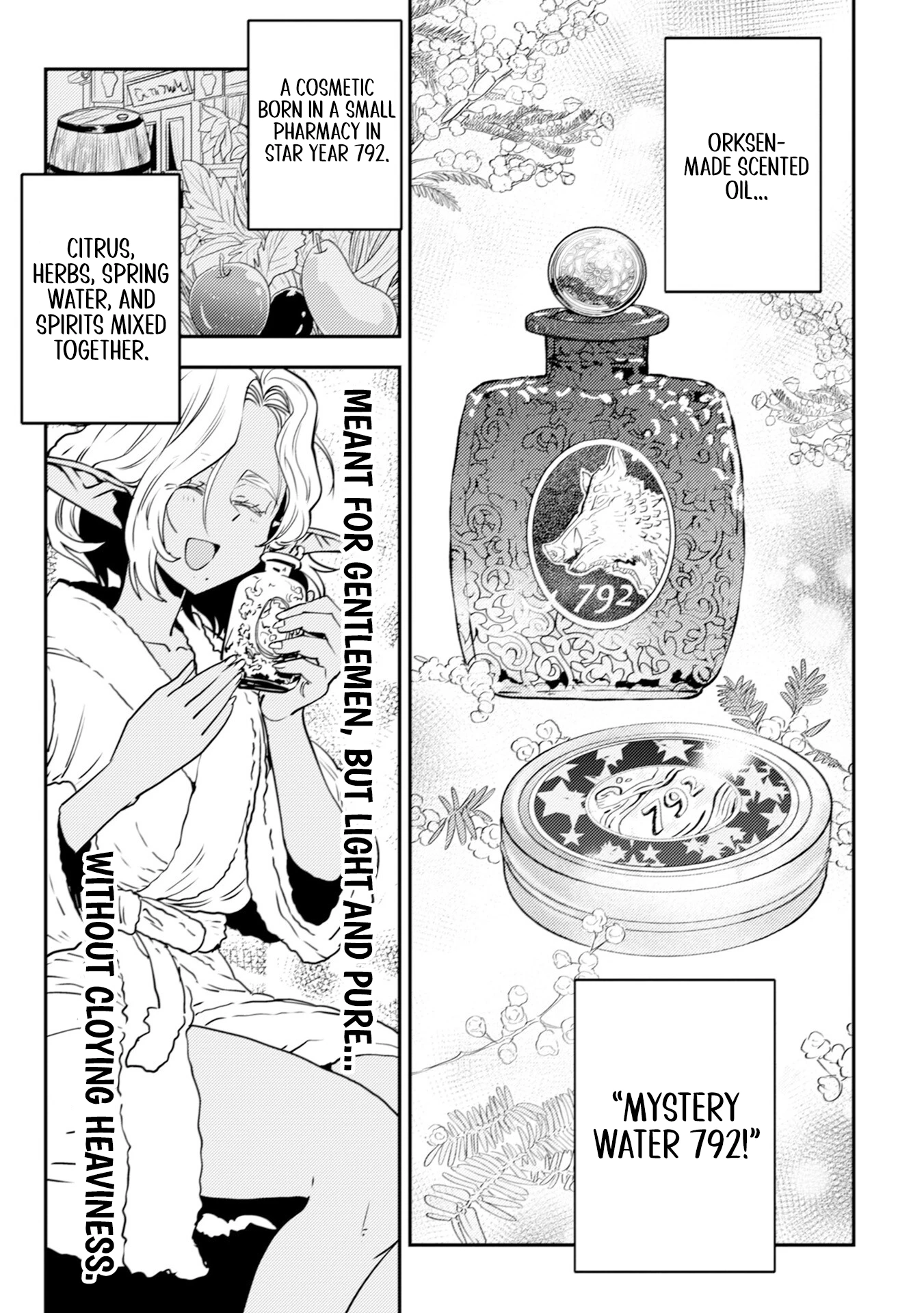 Read History of the Kingdom of the Orcsen։ How the Barbarian Orcish Nation Came to Burn Down the Peaceful Elfland EN Manga Online