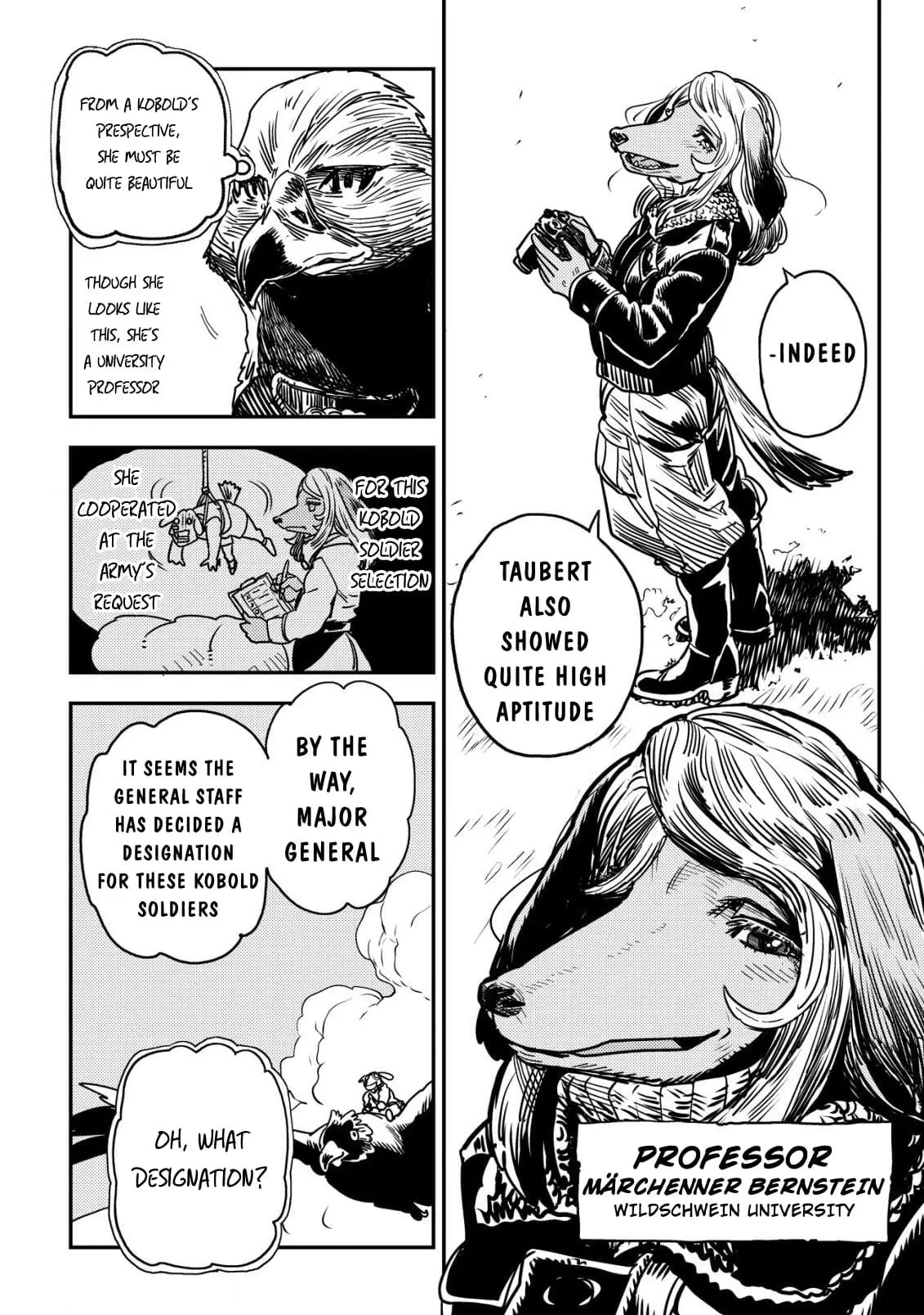 Read History of the Kingdom of the Orcsen։ How the Barbarian Orcish Nation Came to Burn Down the Peaceful Elfland EN Manga Online
