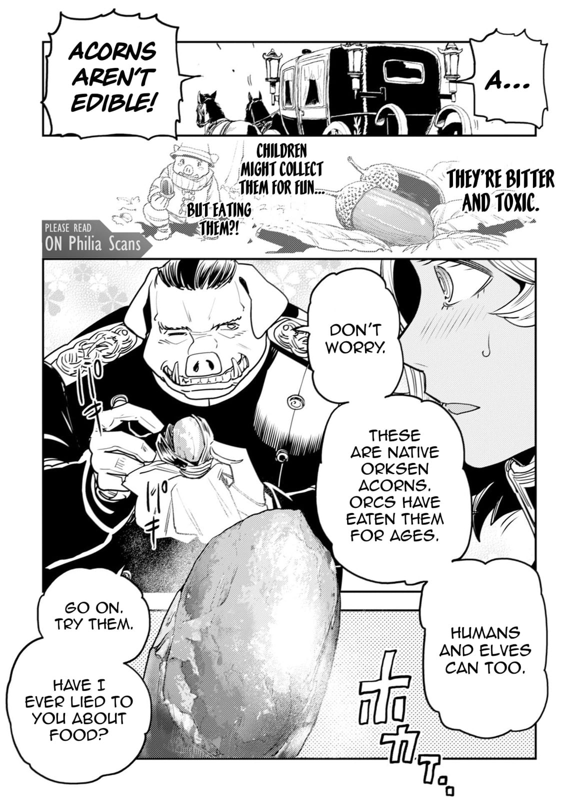 Read History of the Kingdom of the Orcsen։ How the Barbarian Orcish Nation Came to Burn Down the Peaceful Elfland EN Manga Online